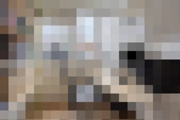 Amkemaheerd 260 Groningen thumbnail 21