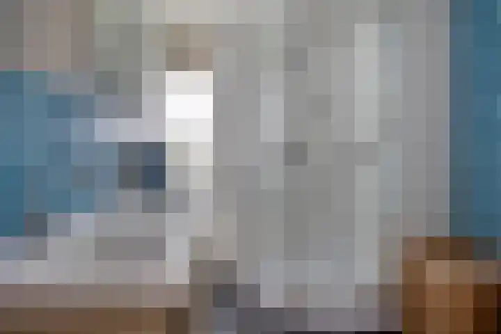 Amkemaheerd 260 Groningen thumbnail 22