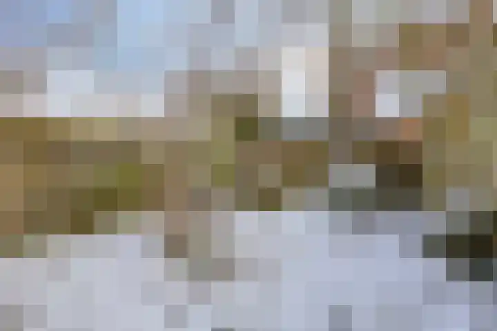 Amkemaheerd 260 Groningen thumbnail 29