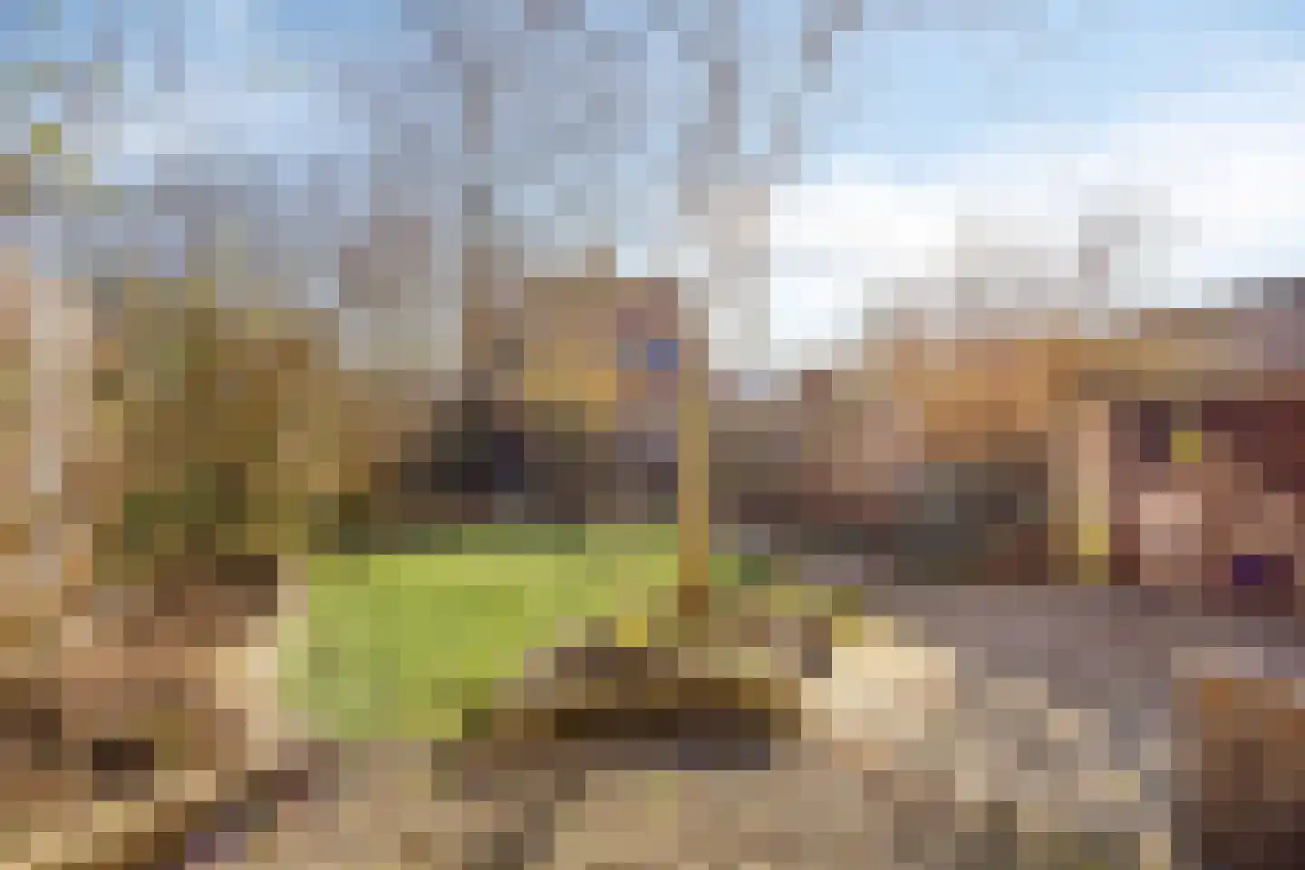 Amkemaheerd 260 Groningen thumbnail 29