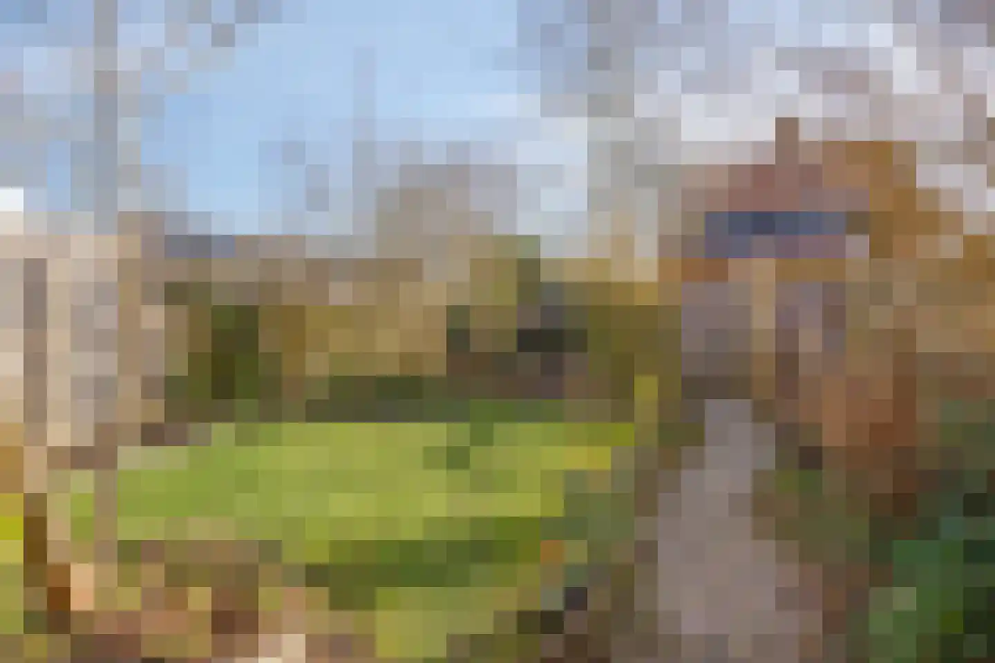 Amkemaheerd 260 Groningen thumbnail 30