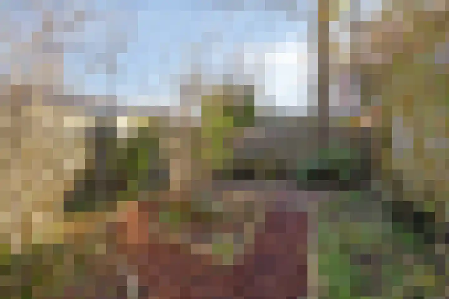 Amkemaheerd 260 Groningen thumbnail 31