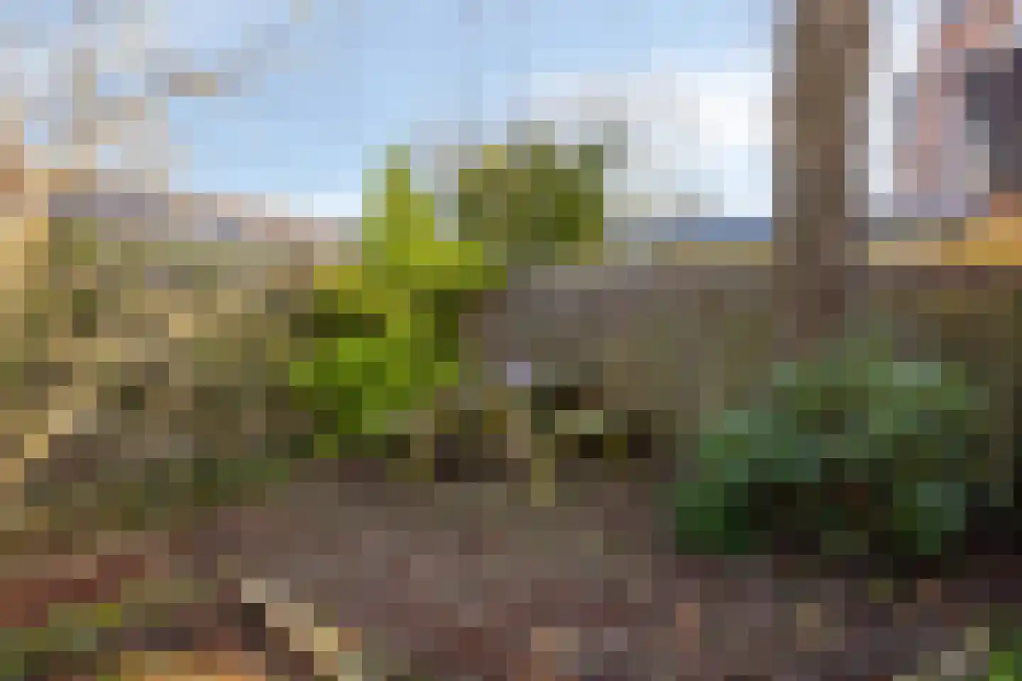 Amkemaheerd 260 Groningen thumbnail 32