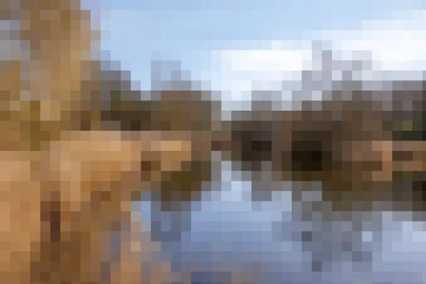 Amkemaheerd 260 Groningen thumbnail 36