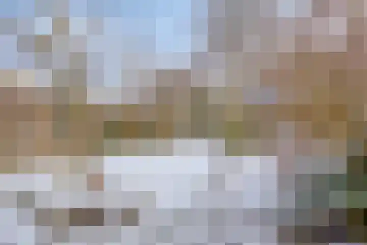 Amkemaheerd 260 Groningen thumbnail 4
