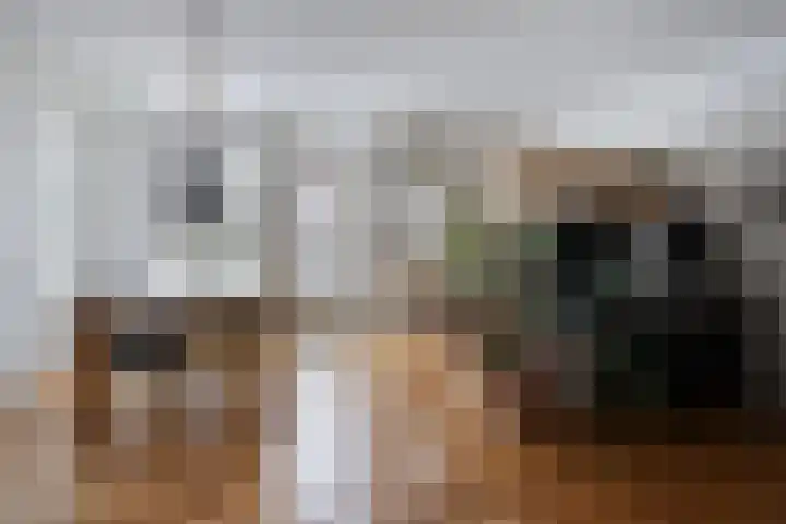 Amkemaheerd 260 Groningen thumbnail 7