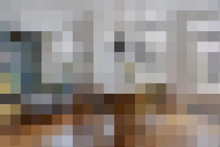Amkemaheerd 260 Groningen thumbnail 8