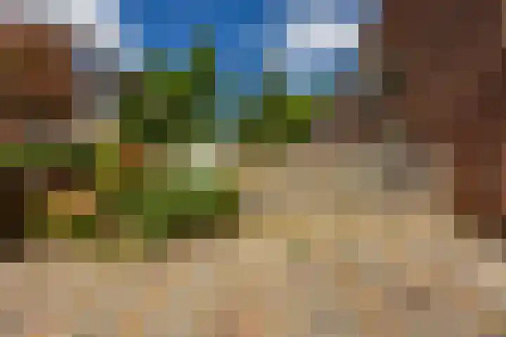 Amkemaheerd 267 Groningen thumbnail 18