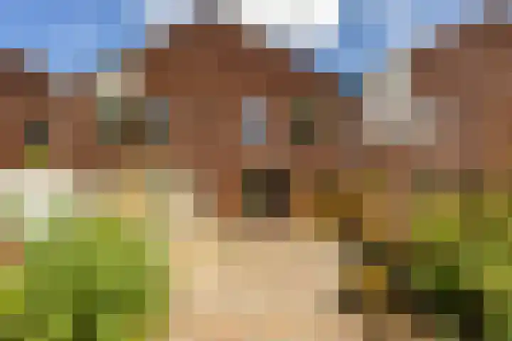 Amkemaheerd 267 Groningen thumbnail 19
