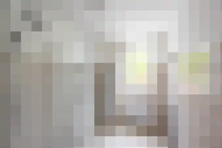 Amkemaheerd 267 Groningen thumbnail 30