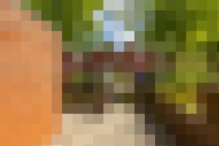 Amkemaheerd 267 Groningen thumbnail 37