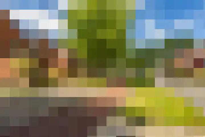 Amkemaheerd 267 Groningen thumbnail 39