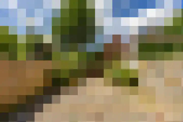 Amkemaheerd 267 Groningen thumbnail 4