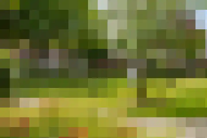 Amkemaheerd 267 Groningen thumbnail 40