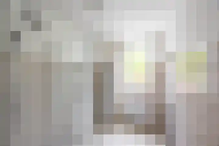 Amkemaheerd 267 Groningen thumbnail 5