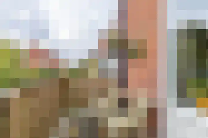 Amkemaheerd 276 Groningen thumbnail 13