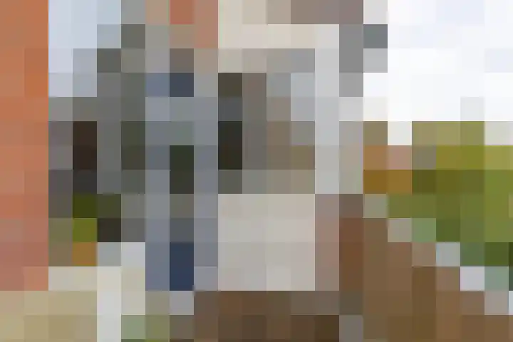 Amkemaheerd 276 Groningen thumbnail 14