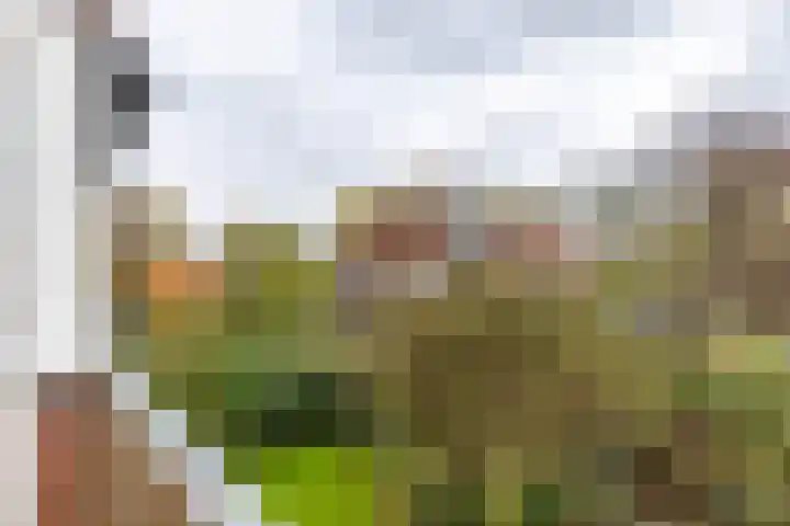 Amkemaheerd 276 Groningen thumbnail 16