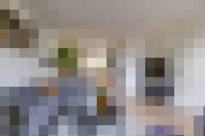 Amkemaheerd 276 Groningen thumbnail 17