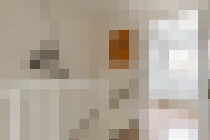 Amkemaheerd 276 Groningen thumbnail 19