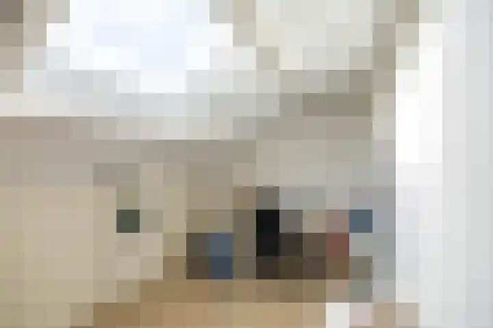 Amkemaheerd 276 Groningen thumbnail 29