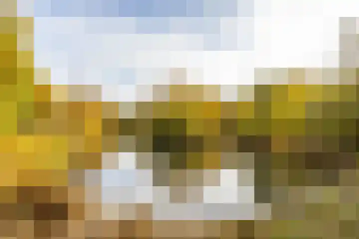 Amkemaheerd 276 Groningen thumbnail 32