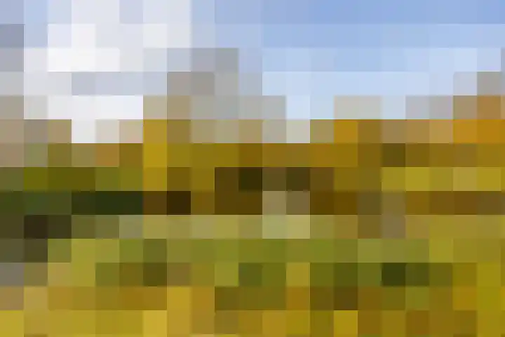 Amkemaheerd 276 Groningen thumbnail 33