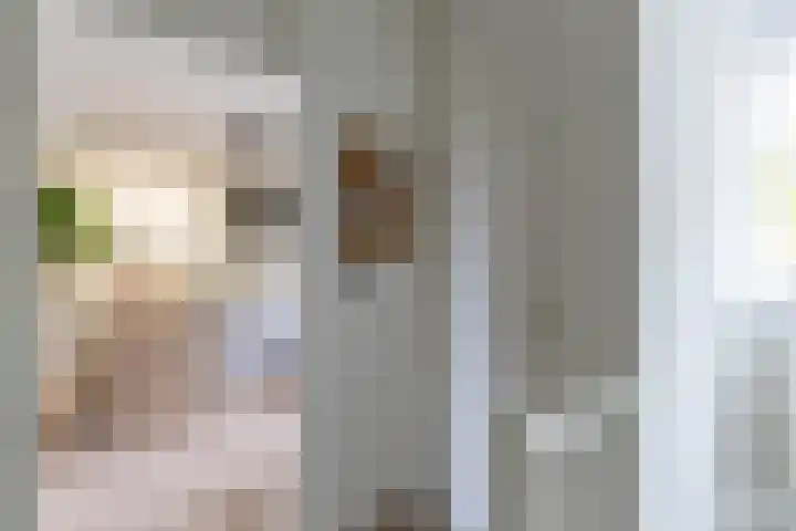 Amkemaheerd 276 Groningen thumbnail 6