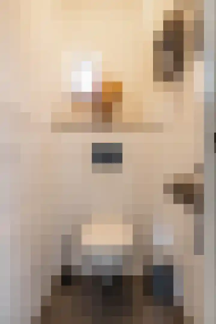 Amkemaheerd 276 Groningen thumbnail 7