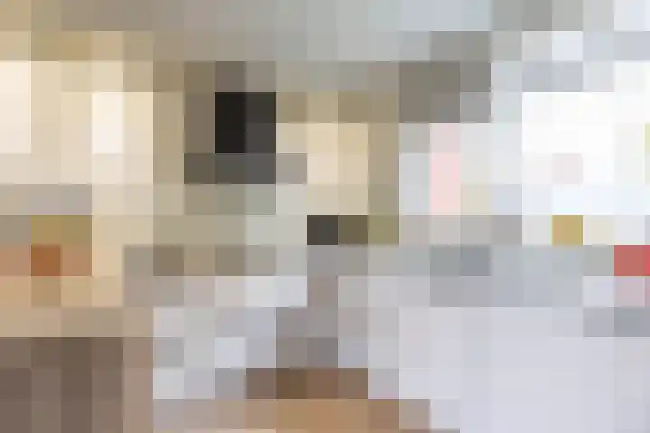 Amkemaheerd 276 Groningen thumbnail 9