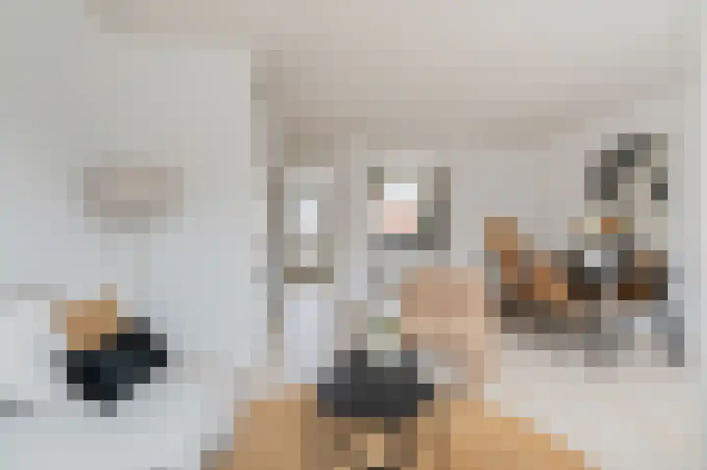 Amkemaheerd 292 Groningen thumbnail 11