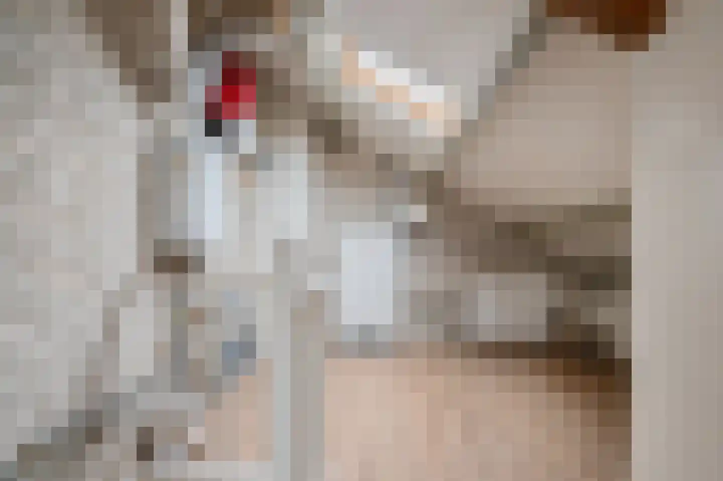 Amkemaheerd 292 Groningen thumbnail 22