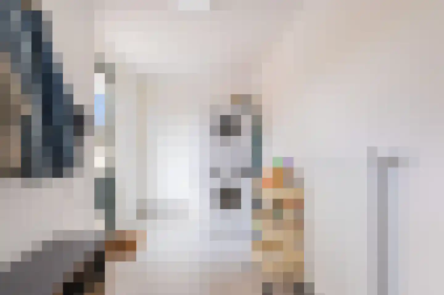 Ammerdorfferstraat 20 Ursem thumbnail 25
