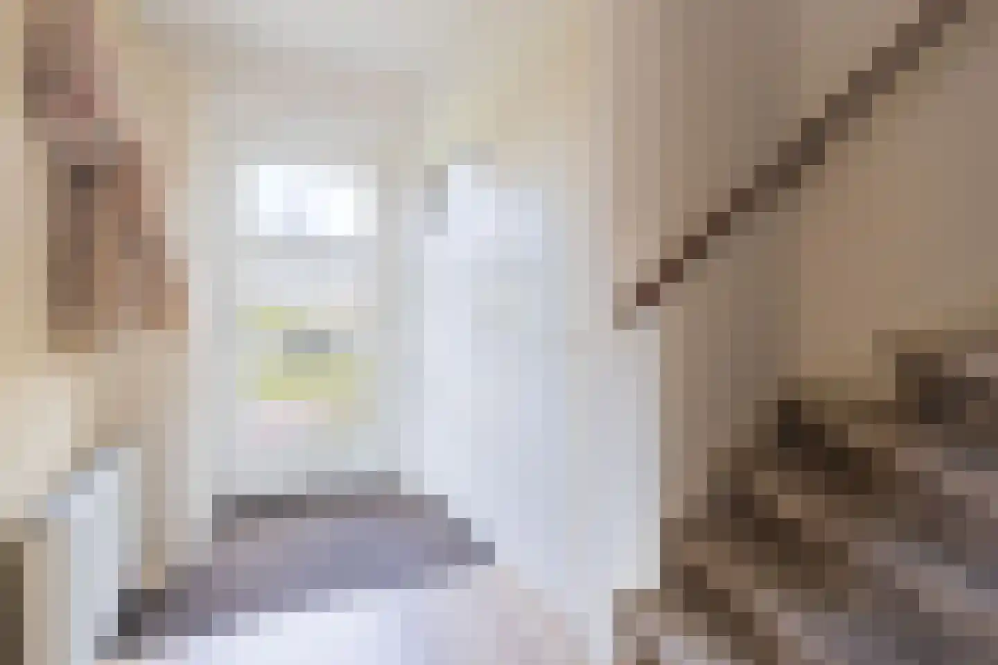 Ammerdorfferstraat 20 Ursem thumbnail 6