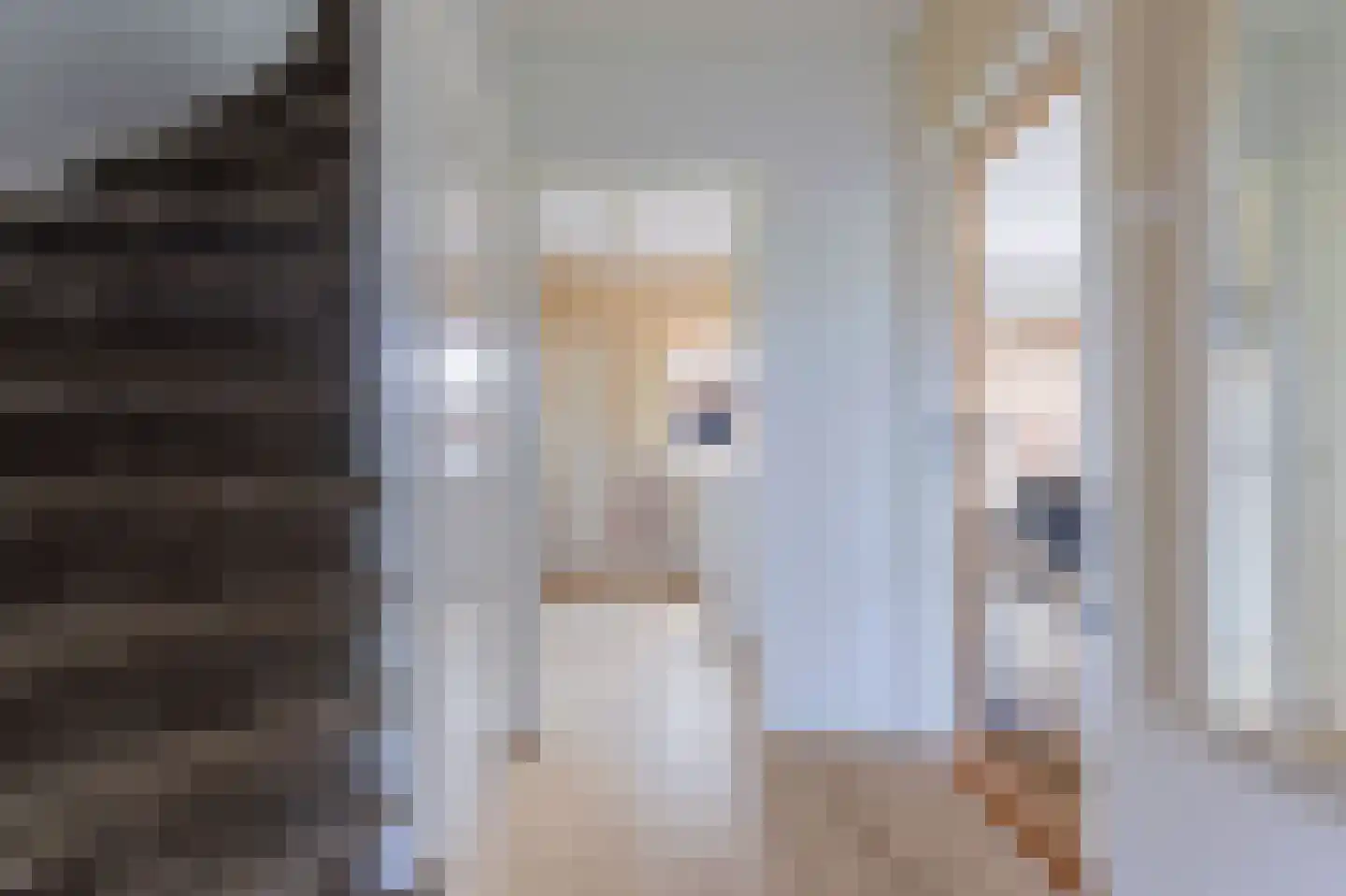 Ammerdorfferstraat 20 Ursem thumbnail 8