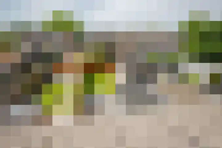 Ammerdorfferstraat 29 Ursem thumbnail 36