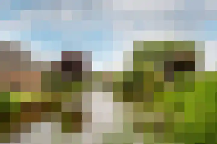 Ammerdorfferstraat 29 Ursem thumbnail 48