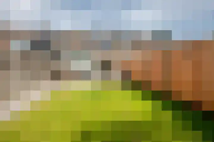 Ammerdorfferstraat 29 Ursem thumbnail 5