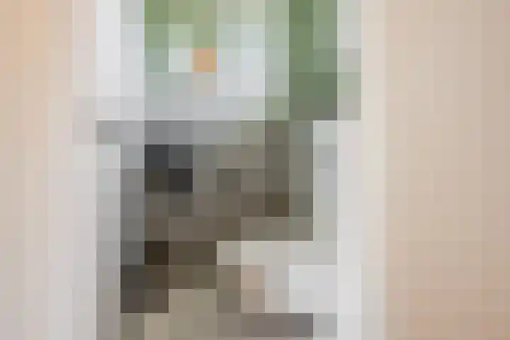 Ammerdorfferstraat 29 Ursem thumbnail 9