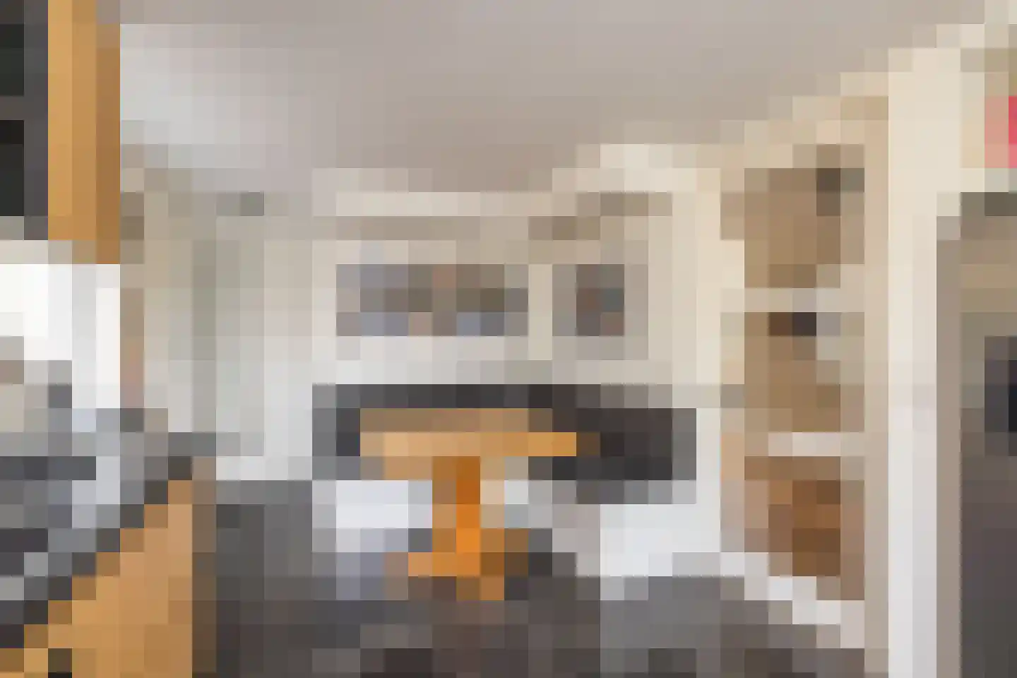 Ammerzoden 28 Hillegom thumbnail 20