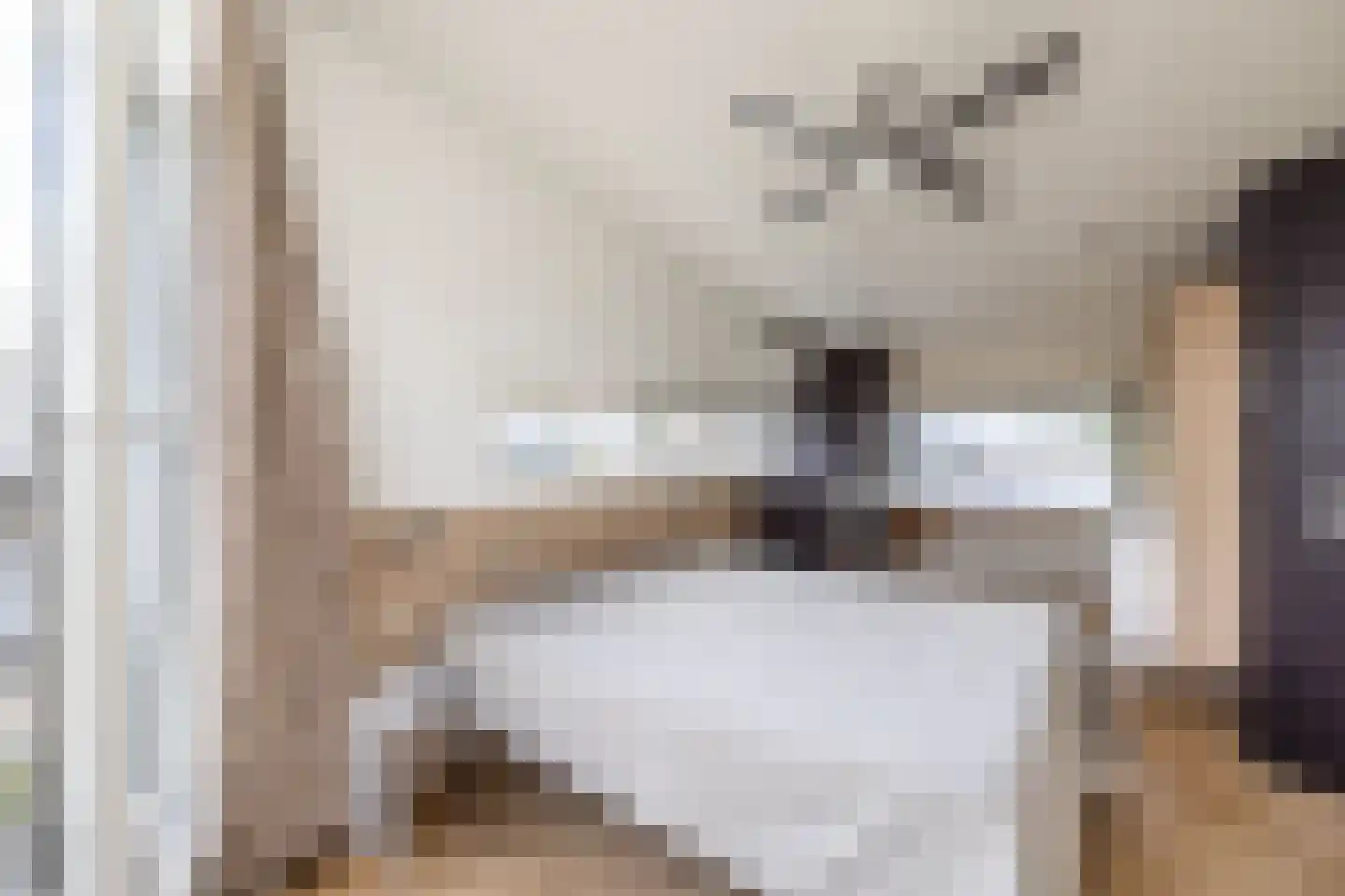 Ammerzoden 28 Hillegom thumbnail 32