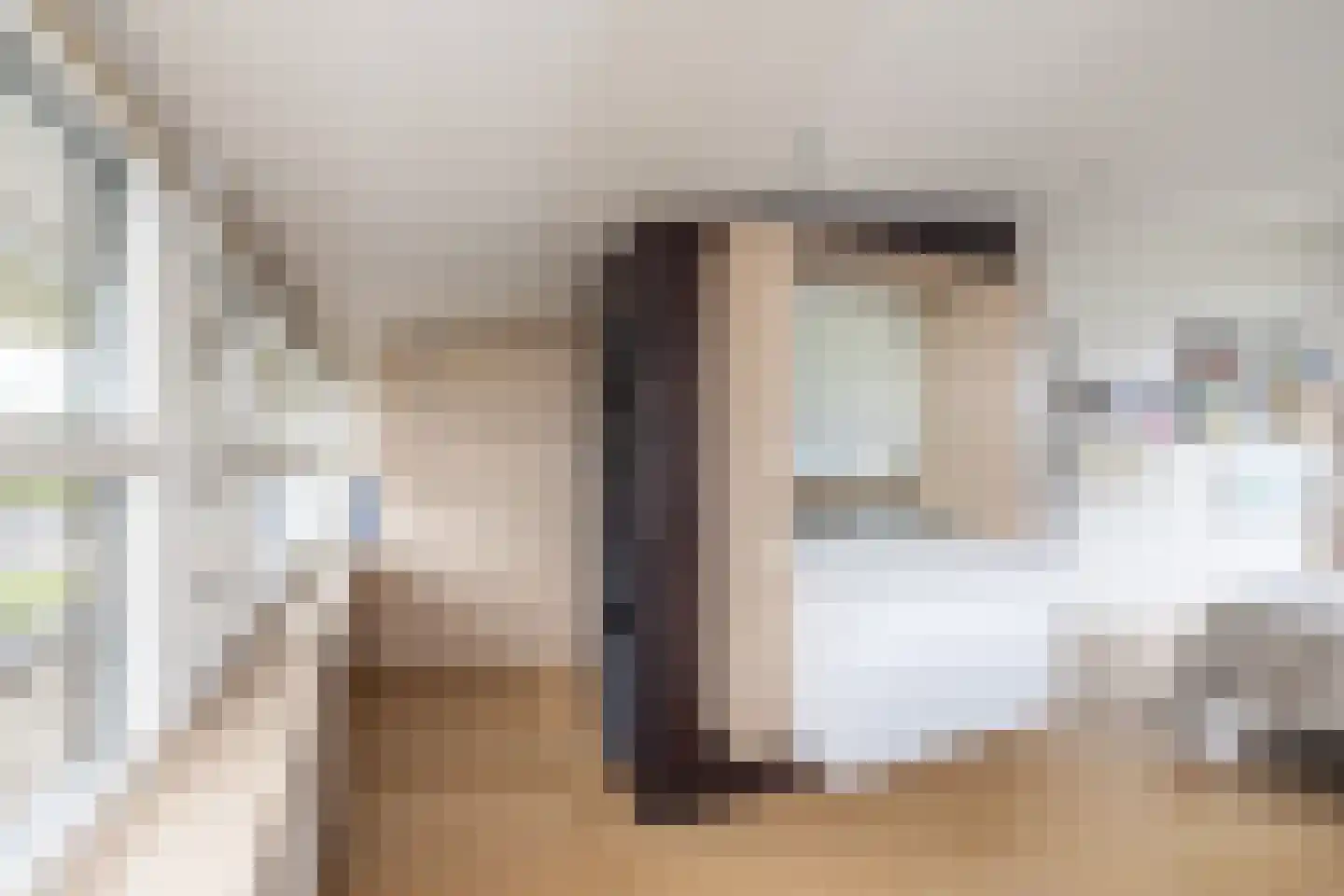 Ammerzoden 28 Hillegom thumbnail 34
