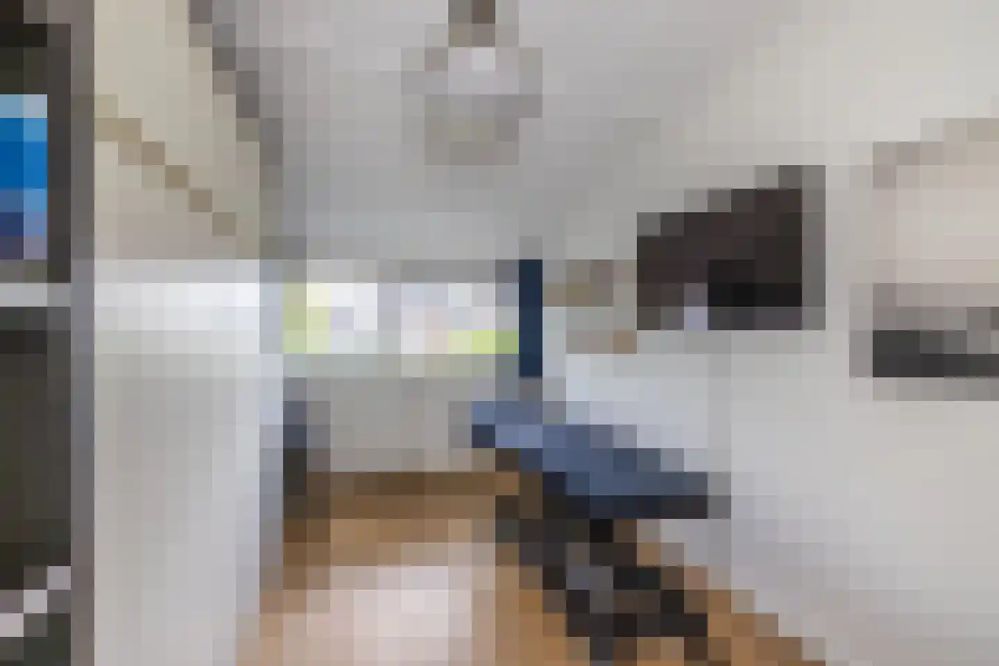 Ammerzoden 28 Hillegom thumbnail 36