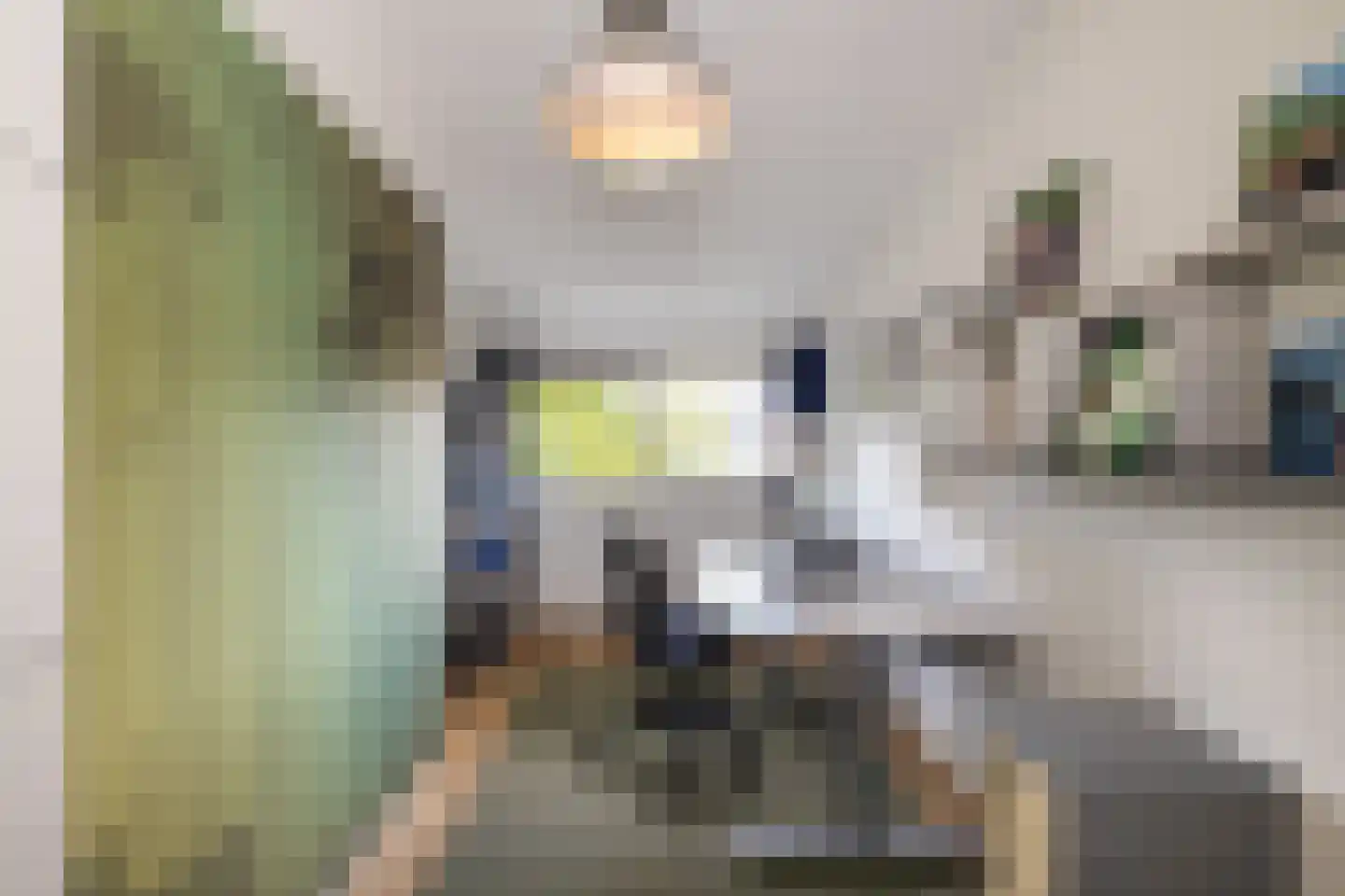 Ammerzoden 28 Hillegom thumbnail 37