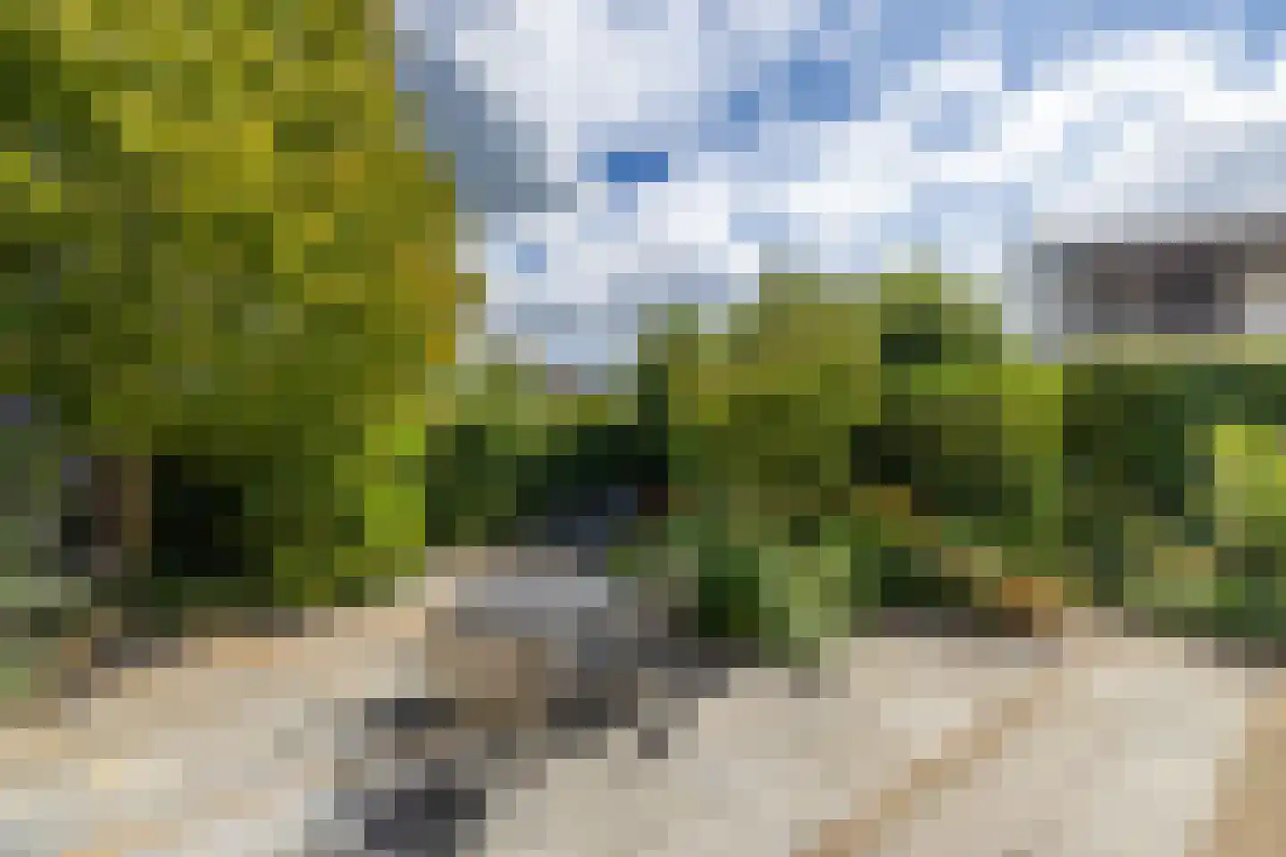 Ammerzoden 28 Hillegom thumbnail 4