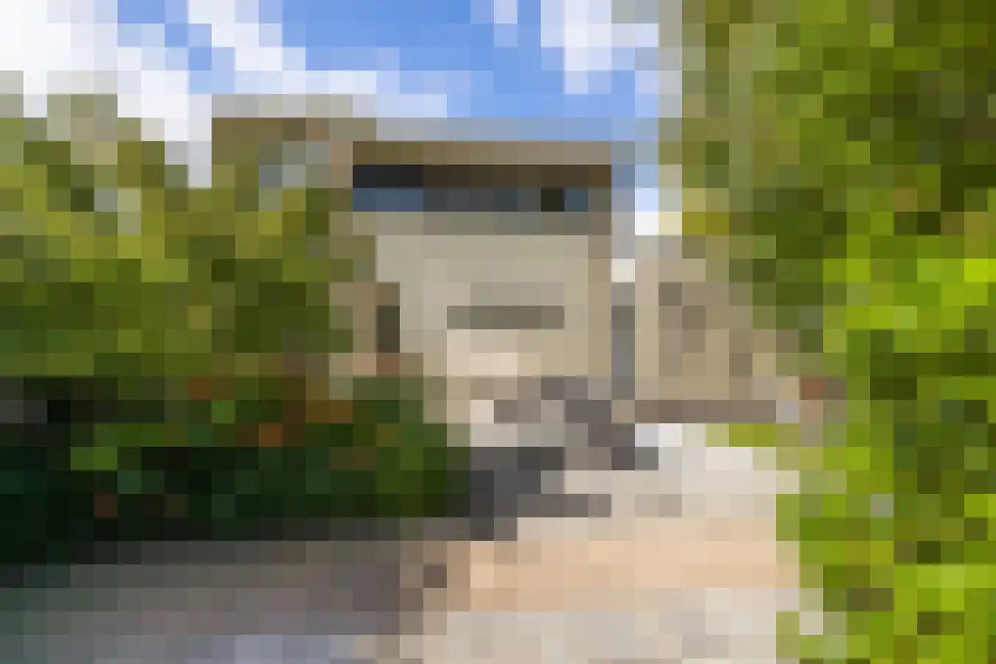 Ammerzoden 28 Hillegom thumbnail 42