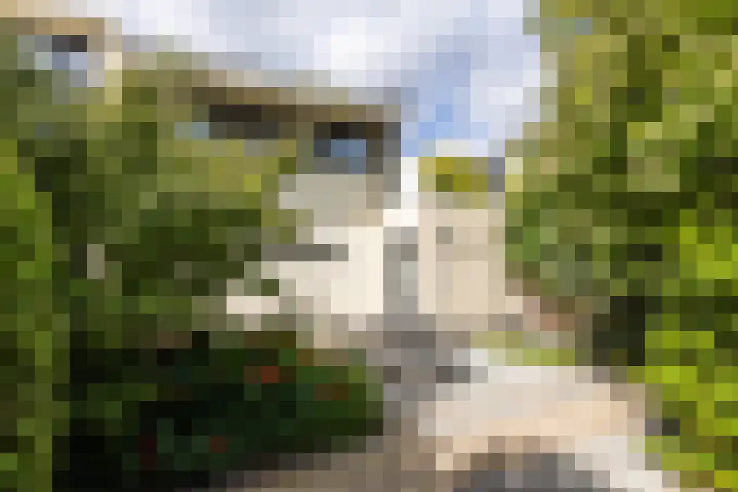 Ammerzoden 28 Hillegom thumbnail 43