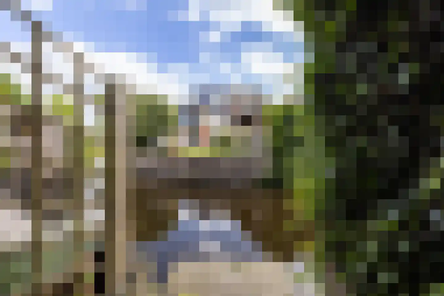 Ammerzoden 28 Hillegom thumbnail 50