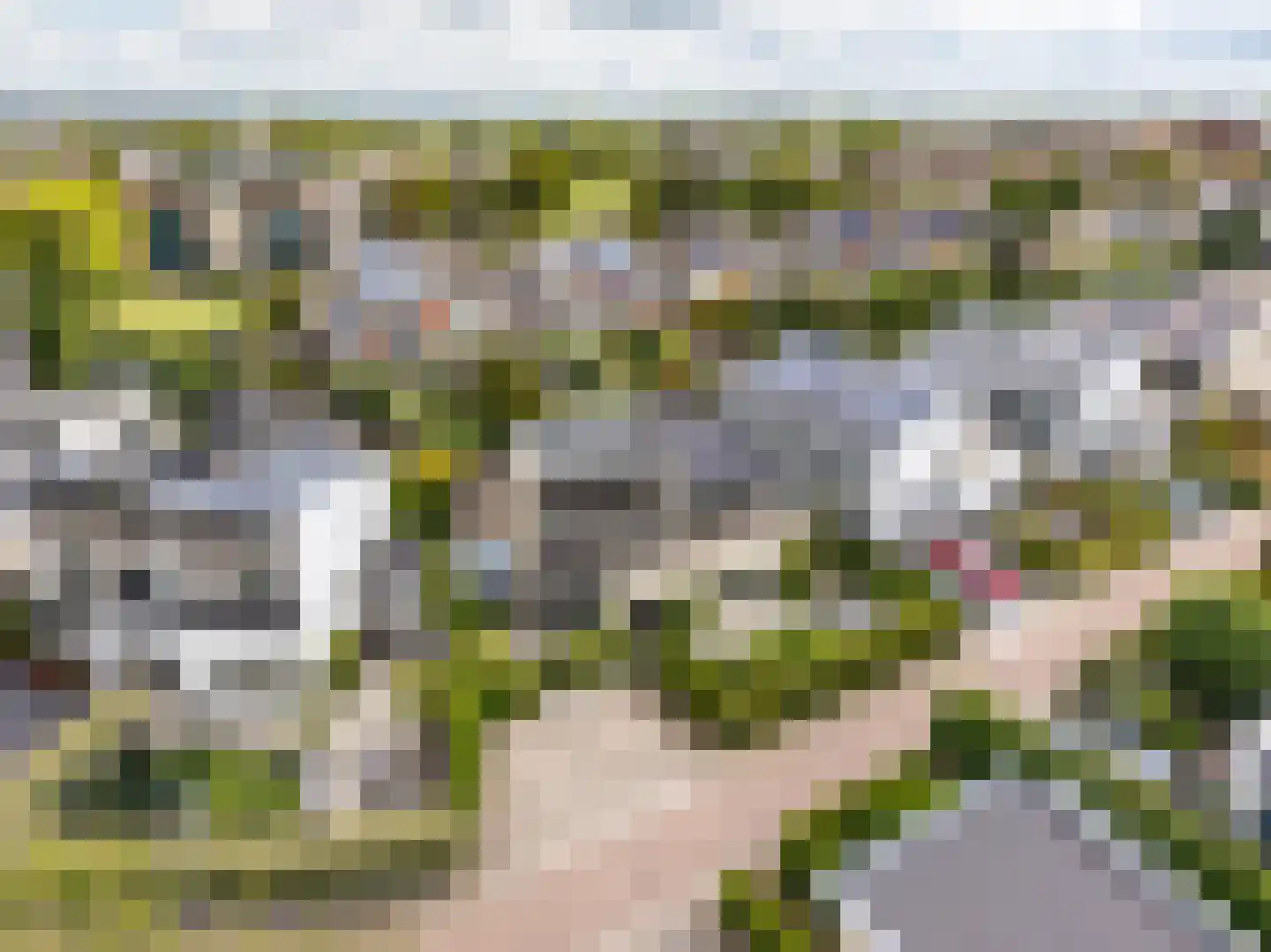 Ammerzoden 28 Hillegom thumbnail 53