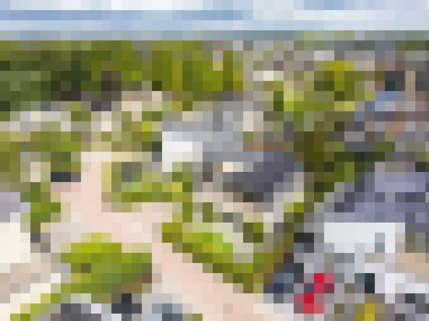 Ammerzoden 28 Hillegom thumbnail 54